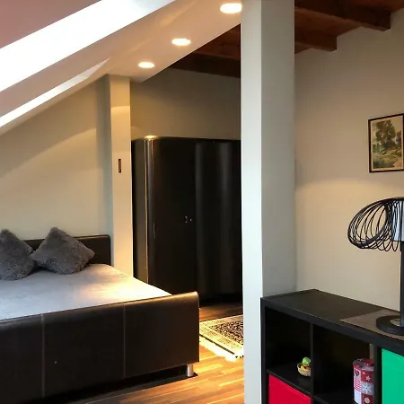 Family Or Group In Center Apartment Riga